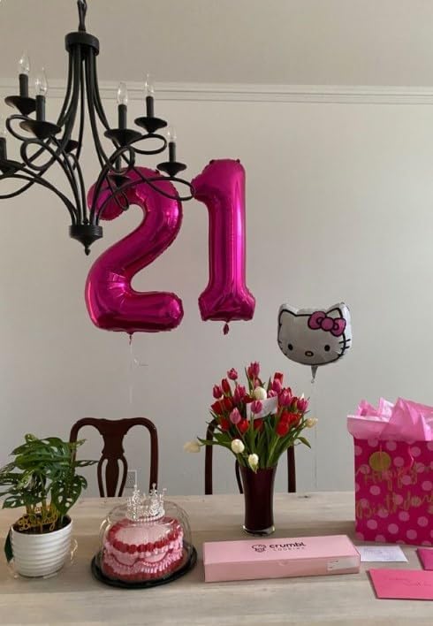 40 Inch Big Hot Pink 9 Balloon Number, Jumbo Giant Happy 9th 19 29 39 49 99 Birthday Party Decorations, Large Nine Mylar Foil Anniversary Birthday Party Engagement Decorations