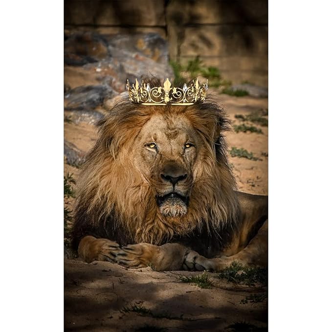 AOPRIE King & Queen Tear Drop Tiara and Crown for Women Men Crystal Hair Accessories for Wedding Prom Bridal Birthday Party Halloween Costume Christmas Gifts Gold Princess Tiara for Girls Boys