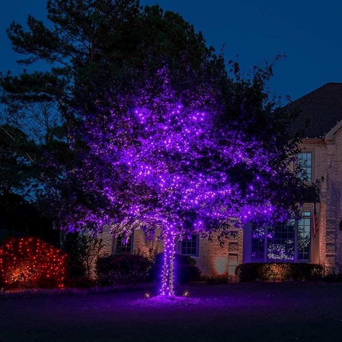 Solar Halloween Lights, 500 LED Solar String Lights with 19 Modes, Purple String Lights Halloween Decoration Outdoor Solar Lights for Party Outside Tree Yard Decoration