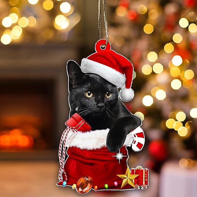 Black Cat Christmas Ornament 2025 β Cute Cat in Santa Hat & Candy Cane β Funny Holiday Tree Decoration for Kitten Lovers, Pet Memorial Keepsake, Xmas Gift for Friends & Family