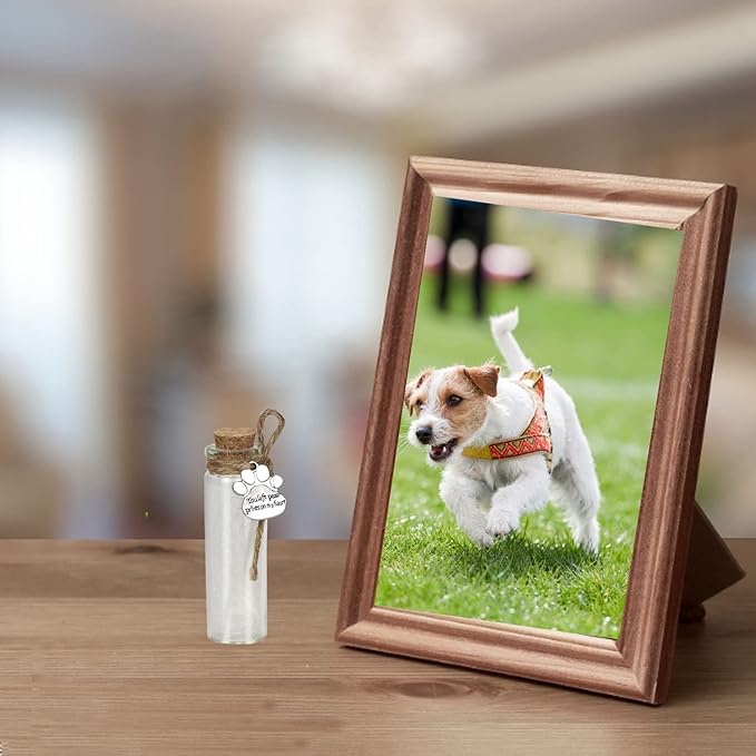 Pet Hair Memorial Bottle,Glass Vial for Ashes Or Hair Dog Or Cat Keepsake Pet Loss Gift (2pcs Bottle)