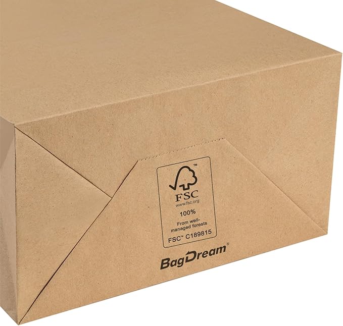 BagDream 10x5x13 Kraft Shopping Bags 100Pcs Brown Paper Bags with Handles Bulk, for Gifts, Merchandise, Retail, Party Favor, Take-out, Grocery, Recycled Paper Gift Sacks