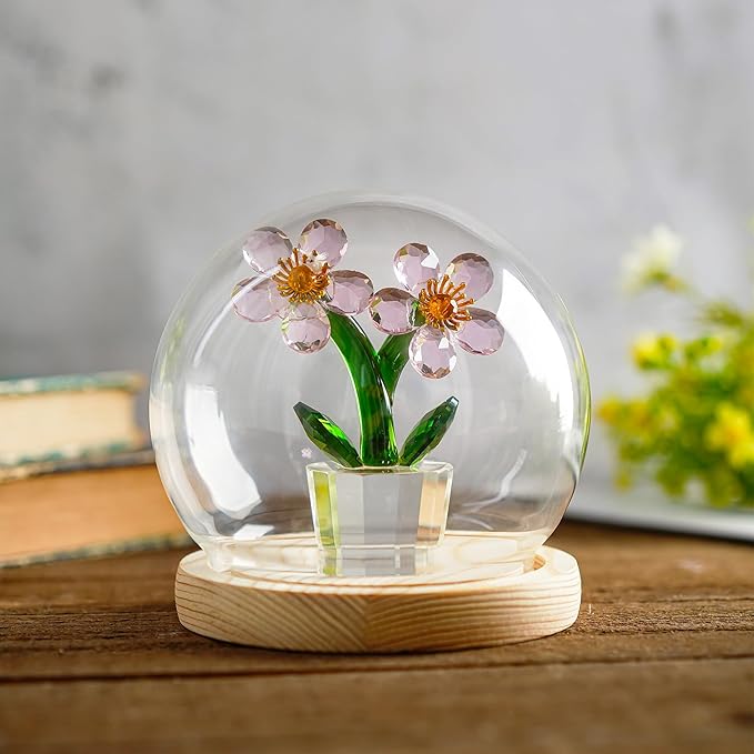 ZEERSHEE Round Glass Display Dome Cloche with Wooden Base for Home Decoration Diameter 4.7 Inches