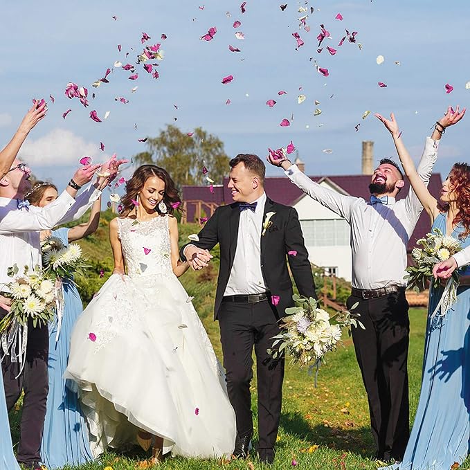 Artificial Silk Rose Petals 300pcs Reusable Fake Purple Flower Petals for Wedding Anniversary Romantic Night Valentines Party Dinner Table Decoration