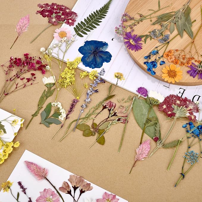 DALARAN 80Pcs Dried Pressed Flowers for Resin Molds Real Pressed Flowers Dry Leaves Kit for Art Crafts Resin Jewelry Making Scrapbook Supplies Card Making Soap Candle DIY