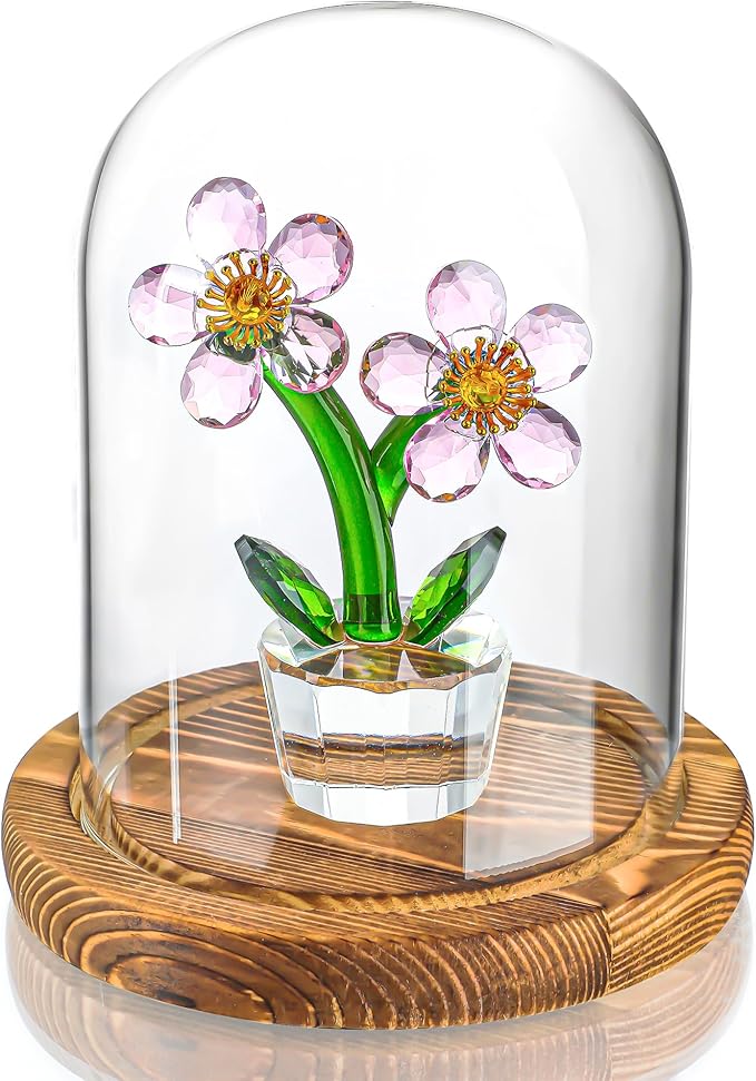 ZEERSHEE 5.5“ x 3.9“ Glass Display Dome Cloche with Wooden Base for Home Decoration