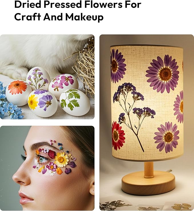 Dried Flowers, Resiners Pressed Flowers for Craft Real Natural Dried Flowers Kit for Scrapbook Supplies DIY Making Crafts Jewelry Resin Soap Candle Card Making (Violet 100pcs)