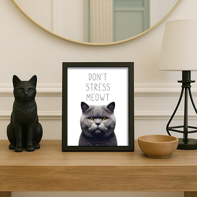 Posterizer 1 pcs - Don’t Stress Meowt - Funny Art for cat lovers - Comedy for Animal Lovers - Decor for Home & Office - 05x07 UNFRAMED Wall Art