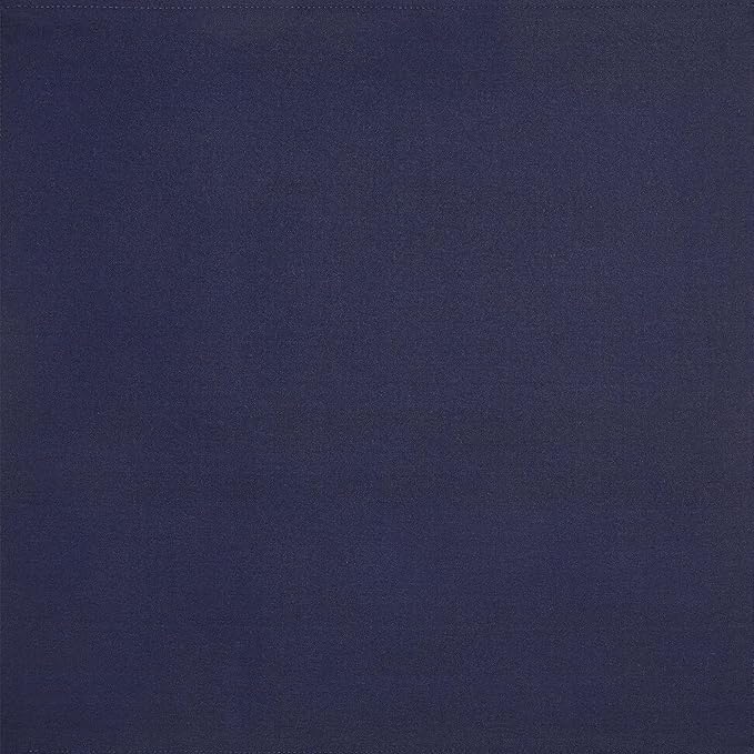 Amazon Basics Reusable Stain and Wrinkle Resistant Cloth Napkins, 12 Pack, 17 x 17 inches, Blue