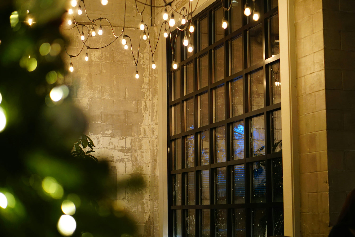 String Lights & Fairy Lights