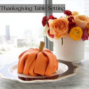 TARAN LIVING Cloth Napkins Fall Decorations Table Napkin Reusable Washable Halloween Dining Linen Cotton Cloth Napkin Christmas Hotel Home Party Decor Set of 12, 18"x18" - Orange