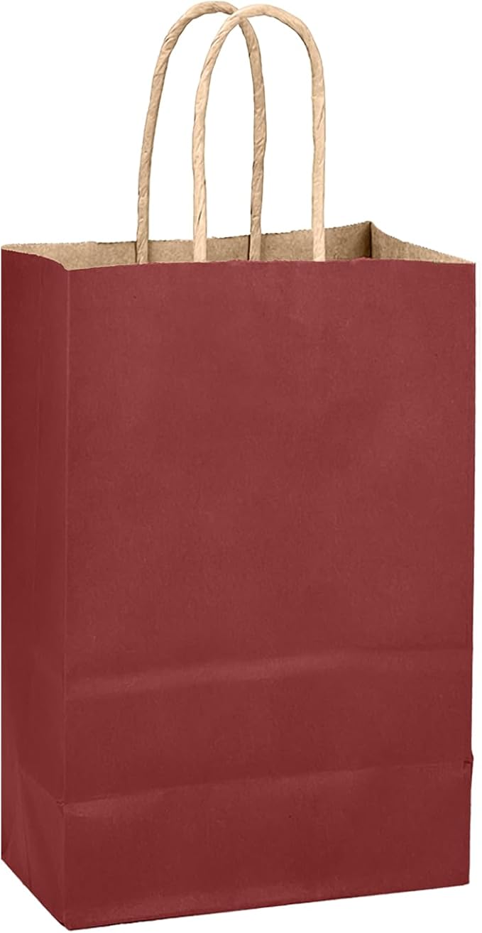 qiqee Brown Red Gift Bag with Handles Bulk 24Pcs Paper Bags -10.6"x8.3"x4.3"Party Favor Bags - Solid Color