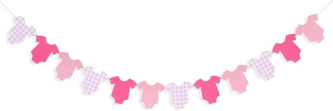 Pink Bodysuit Banner - Baby Shower Decoration Pink Gingham Banner,Shower Gingham Bunting Decor (pink)