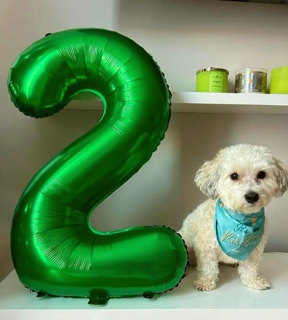 40 Inch Big Green Number 12 Balloon Birthday Decoration, Number 12 Helium Balloon Celebration, Boy Girl Baby Anniversary Party Graduations Supplies Decorations