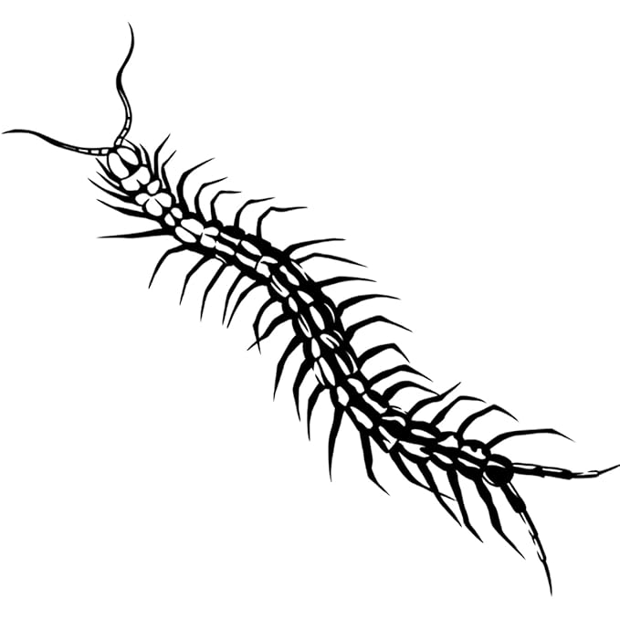 INKARTLINK Tattoo Tech, 2 Sheets Large Semi Permanent Tattoo, Adult Art Design Temporary Tattoos, Lasts 1-2 Weeks, Waterproof, Realistic Look, No Adhesive, No Reflection (Centipede Design)