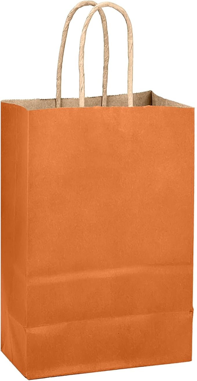 qiqee Classic Orange Gift Bag with Handles Bulk 24Pcs Paper Bags -10.6"x8.3"x4.3"Party Favor Bags - Solid Color