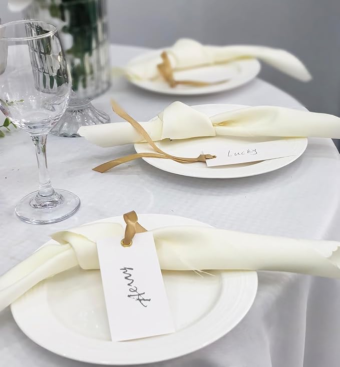 25 Pcs Name Place Cards Blank Seat Card, 2 x 4 in Table Cards with Stain Ribbon, Wedding Place Card, Hanging Tags for Wedding table Setting Reserved Chairs Signs Dinner Banquet Parties.(Gold)