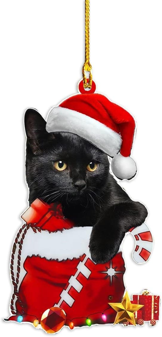 Black Cat Christmas Ornament 2025 – Cute Cat in Santa Hat & Candy Cane – Funny Holiday Tree Decoration for Kitten Lovers, Pet Memorial Keepsake, Xmas Gift for Friends & Family