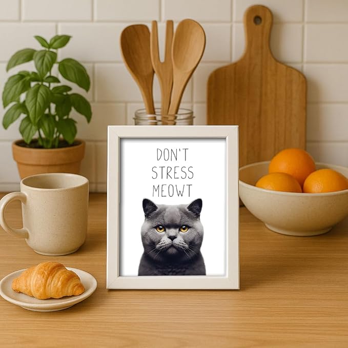 Posterizer 1 pcs - Don’t Stress Meowt - Funny Art for cat lovers - Comedy for Animal Lovers - Decor for Home & Office - 05x07 UNFRAMED Wall Art