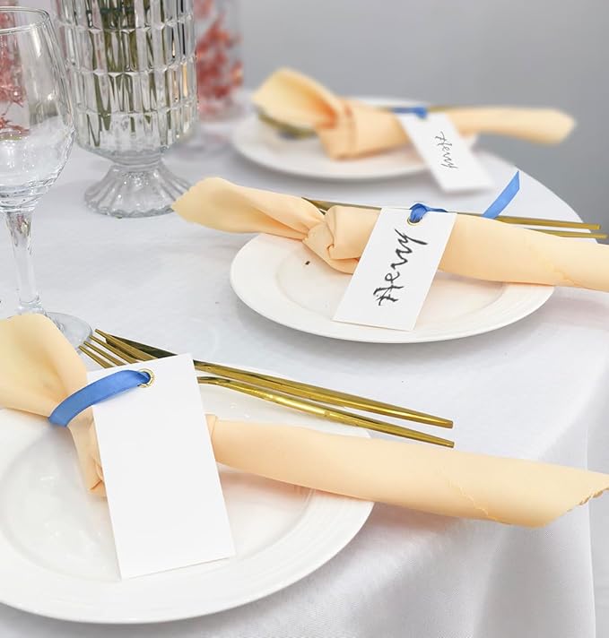 25 Pcs Name Place Cards Blank Seat Card, 2 x 4 in Table Cards with Stain Ribbon, Wedding Place Card, Hanging Tags for Wedding table Setting Reserved Chairs Signs Dinner Banquet Parties.(Blue)