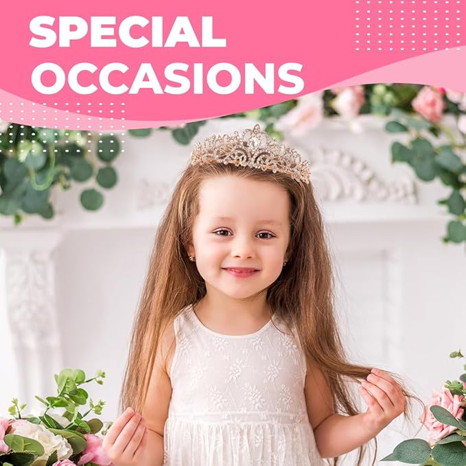 Birthday Tiara and Crown with Sash for Women, Hair Accessories for Wedding Party Costume (C- Rose)