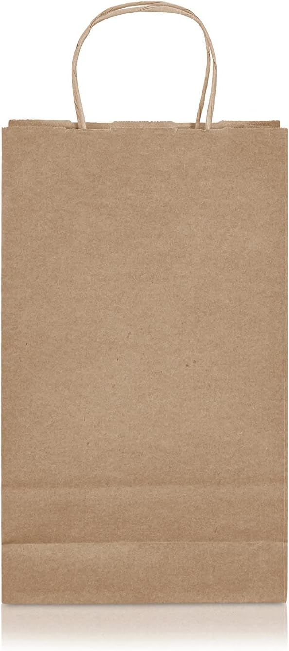 Jet Paper Bags - 100 Pack 6.5x3.5x12 Inch Medium Plain Brown Kraft Paper Bags with Handles Bulk, Gift Wrap Bags for Favors Grocery Retail Party Birthday Shopping Business Goody Craft Merchandise Take Out Sacks