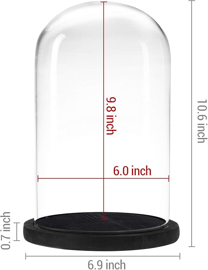 MyGift The Bell Jar Glass Cloche with Black Wood Base, 10 Inch Tall Clear Decorative Glass Dome Display for Plants, Curios, Keepsakes, Heirlooms