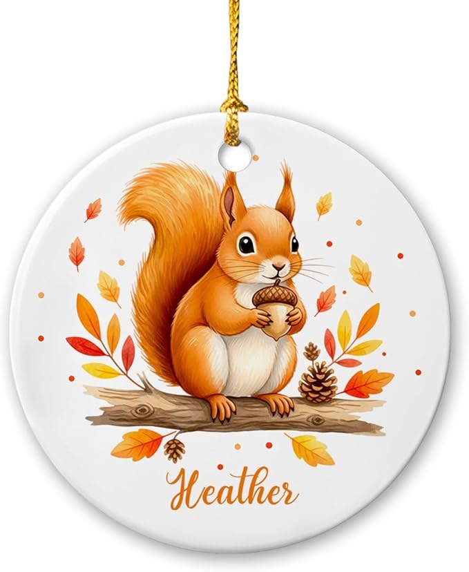 Customized Name Squirrel Christmas Holiday Ornament, Squirrels Keepsake Gift for Boy Girl Kids Children, Baby Squirrel Ornament Xmas Tree, Personalized Wild Animal Ceramic Ornaments, Squirrels Decor