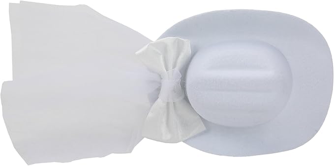 Packed Party Cowboy Hat & Veil Novelty Bridal Headband