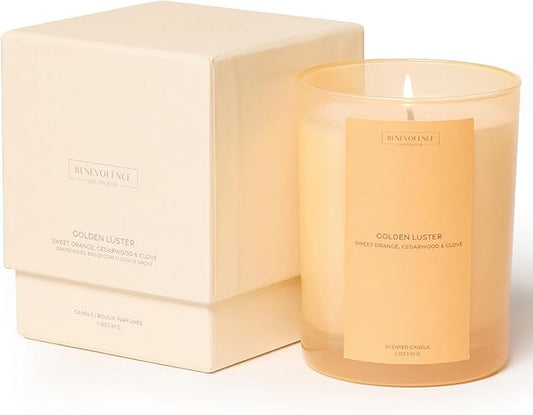 Orange, Cedarwood & Clove Scented Candle | 11oz, 60 Hour Burn | Natural Soy Wax, Cotton Wick | Fall & Holiday Candles | Christmas Scented Candles for Home | Sun-Kissed Collection - Golden Luster