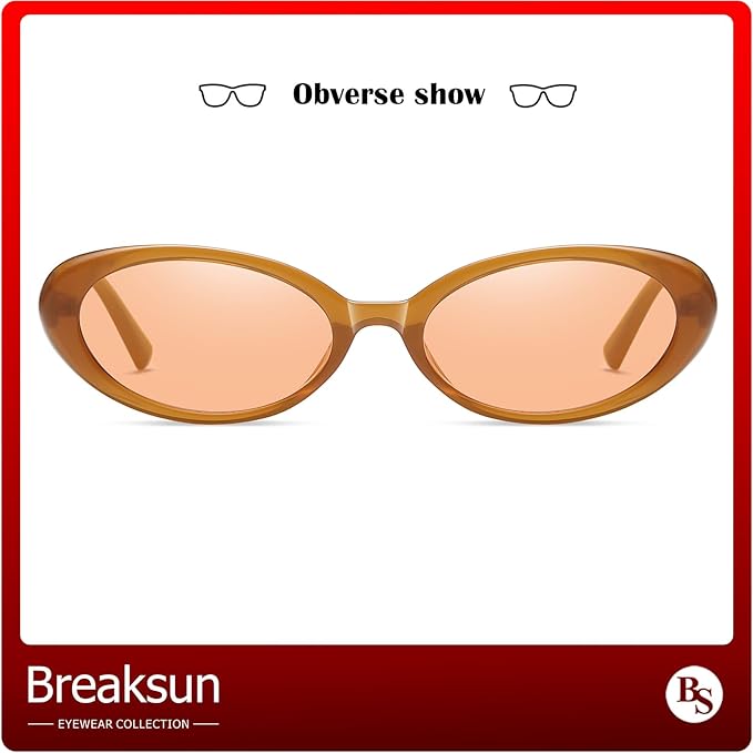 Retro Oval Sunglasses for Women Men Fashion Small Oval Sunglasses 90s Vintage Shades