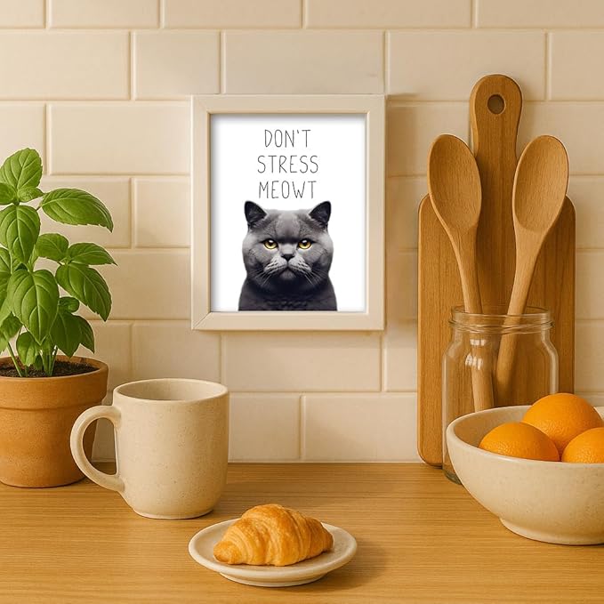 Posterizer 1 pcs - Don’t Stress Meowt - Funny Art for cat lovers - Comedy for Animal Lovers - Decor for Home & Office - 05x07 UNFRAMED Wall Art