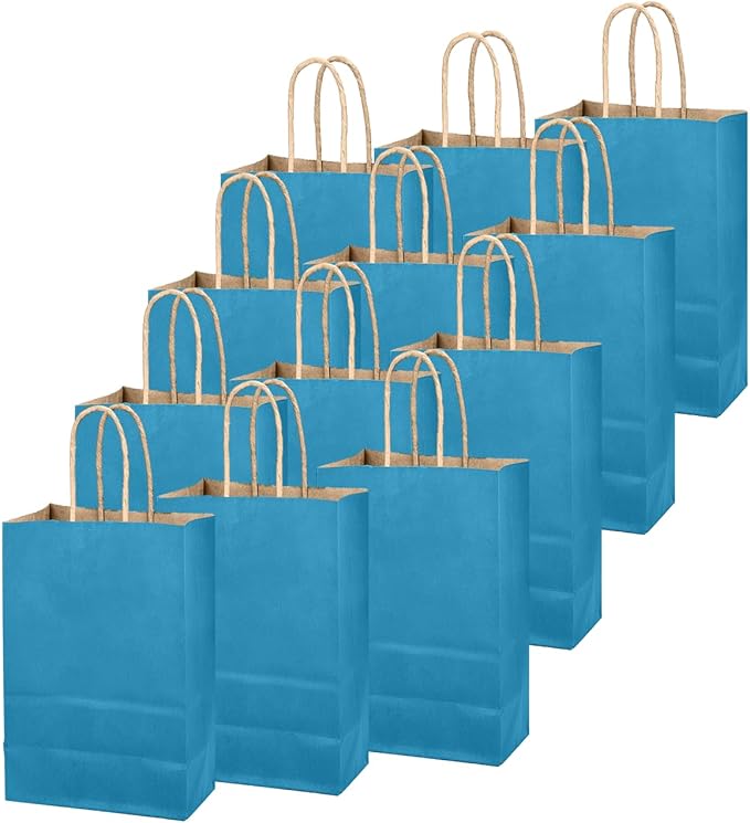 qiqee Ice Blue Gift Bag with Handles Bulk 24Pcs Paper Bags -10.6"x8.3"x4.3"Party Favor Bags - Solid Color