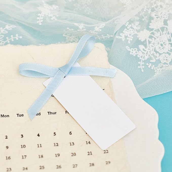 60pcs Wedding Banquet Place Cards for Table Setting.Name Table Cards .Name Cards with Ribbons. Can be Used for Wedding Banquet Table Decoration and Present Tags for Parties (Sky Blue)