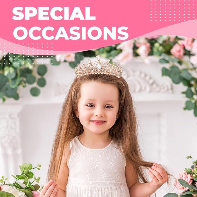 Birthday Tiara and Crown with Sash for Women, Hair Accessories for Wedding Party Costume (B - Rose)