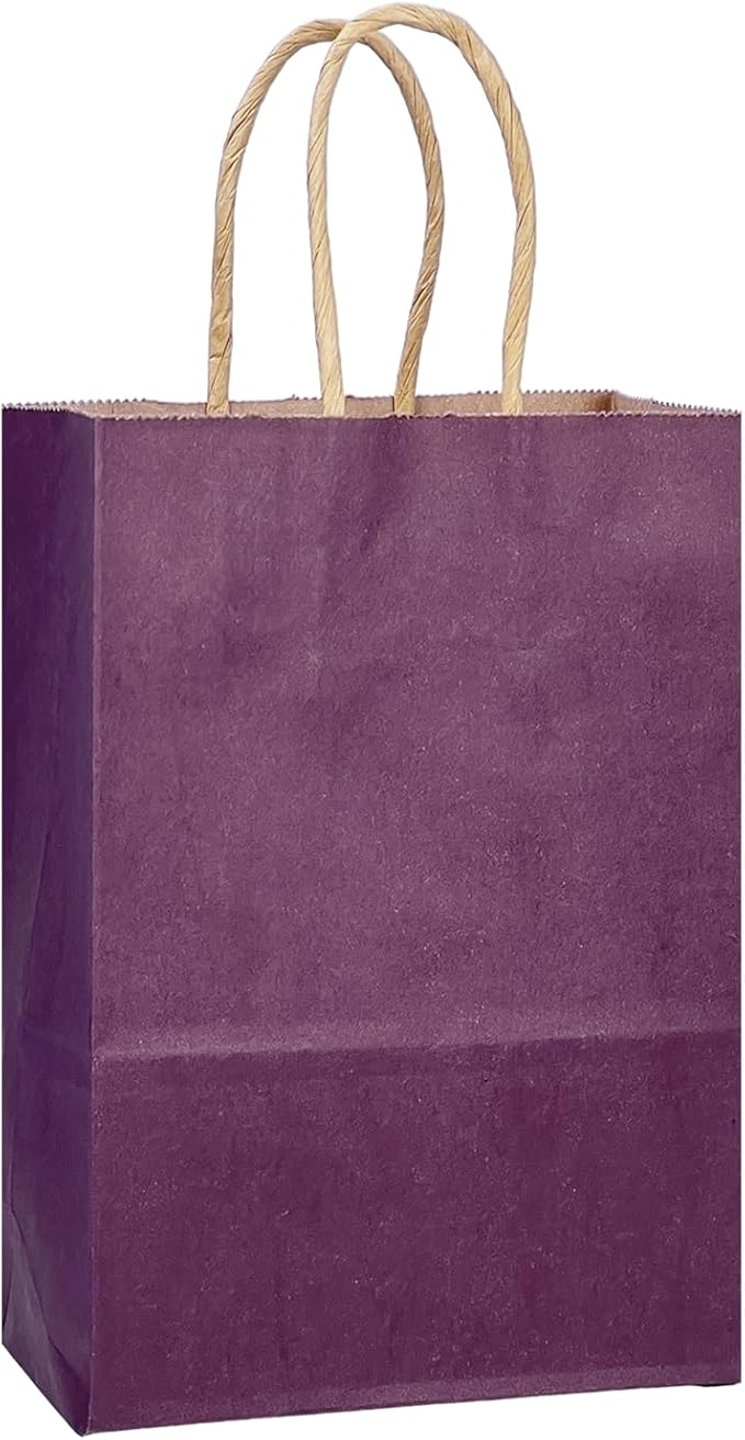 qiqee Aubergine Gift Bag with Handles Bulk 24Pcs Paper Bags -10.6"x8.3"x4.3"Party Favor Bags - Solid Color