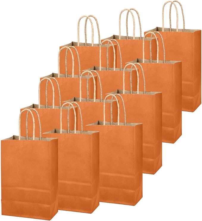 qiqee Classic Orange Gift Bag with Handles Bulk 24Pcs Paper Bags -10.6"x8.3"x4.3"Party Favor Bags - Solid Color