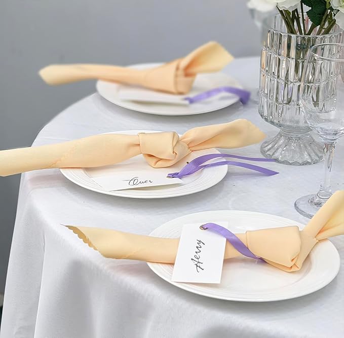 25 Pcs Name Place Cards Blank Seat Card, 2 x 4 in Table Cards with Stain Ribbon, Wedding Place Card, Hanging Tags for Wedding Table Setting Reserved Chairs Signs Dinner Banquet Parties.(Purple)