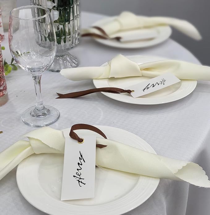25 Pcs Name Place Cards Blank Seat Card, 2 x 4 in Table Cards with Stain Ribbon, Wedding Place Card, Hanging Tags for Wedding table Setting Reserved Chairs Signs Dinner Banquet Parties.(Brown)