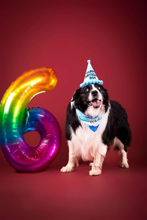 Rainbow Number 1 Balloon 40 Inch Rainbow 1 Balloon Giant Helium Foil Number 0 to 9 Balloons Birthday Wedding Party Digital Decorations Number 1