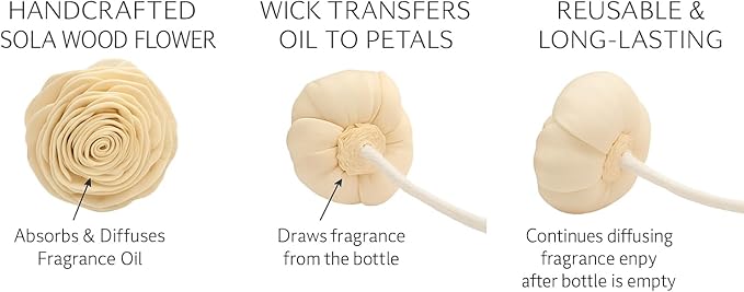 Aronica Twin Sola Diffuser 160ml_Eucalyptus and Bergamot Oil Sticks Set, New Premium Non Toxic Clean Reed Diffusers for Home, Organic Essential Oil Scents, Natural Quality Room Scents