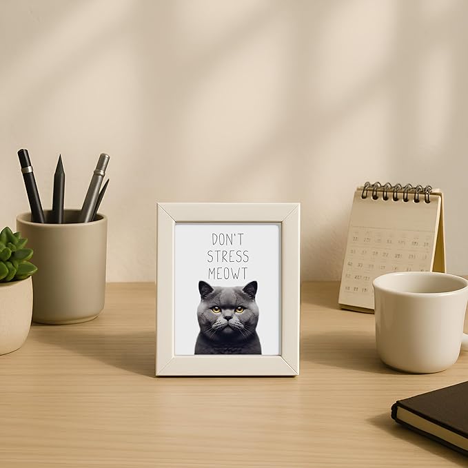 Posterizer 1 pcs - Don’t Stress Meowt - Funny Art for cat lovers - Comedy for Animal Lovers - Decor for Home & Office - 05x07 UNFRAMED Wall Art