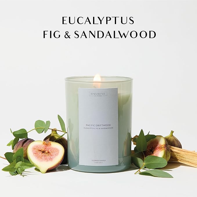 Eucalyptus Fig & Sandalwood Scented Candle | 11oz, 60 Hour Burn | Natural Soy Wax, Cotton Wick | Holiday Candles | Christmas Scented Candles for Home | Sun-Kissed Collection - Pacific Driftwood