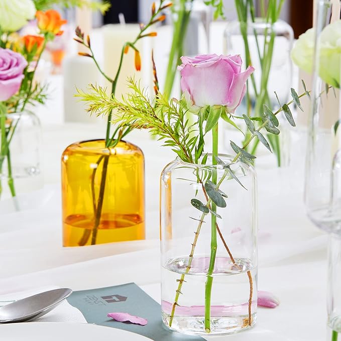 ZENS Bud Vases Set of 6, Modern Small Glasss Vase for Flower Clear Bud Vases in Bulk for Wedding Centerpiece, Blown Thicker Glass Small Vase for Flowers, Wedding Party Decorative, Home Bathroom Decor