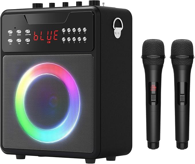 Portable Karaoke Machine for Adults & Kids with 2 Wireless Microphones, PA System Supports TWS, USB, FM, REC, AUX in, TF Card, Remote Control for Parties