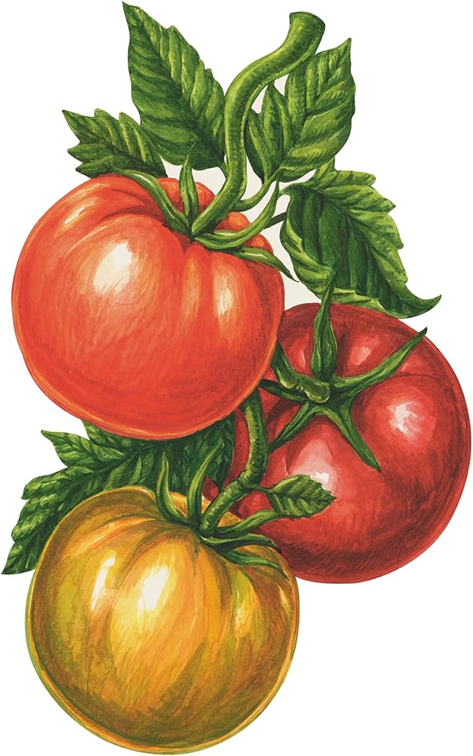 Hester & Cook Table Accent Place Cards - Dinner Name Cards for Table Setting Set of 12 - Made in USA (Tomato)
