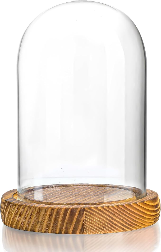 ZEERSHEE 4.1" x 3.2" Small Glass Display Cloche Dome with Solid Wood Base Empty for Plants Keepsakes Collectibles