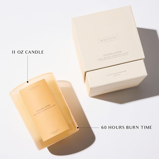 Orange, Cedarwood & Clove Scented Candle | 11oz, 60 Hour Burn | Natural Soy Wax, Cotton Wick | Fall & Holiday Candles | Christmas Scented Candles for Home | Sun-Kissed Collection - Golden Luster