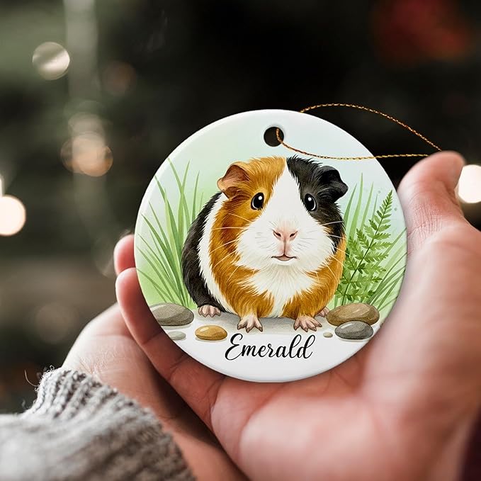 Cute Guinea Pig Christmas Ornament 2025, Personalized Choose Name Guinea Pig Lover Gift, Pet Animal Ceramic Ornament Gift for Boys Girls, Custom Animal with Nature Keepsake Ornaments, Xmas Tree Decor