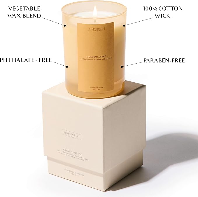 Orange, Cedarwood & Clove Scented Candle | 11oz, 60 Hour Burn | Natural Soy Wax, Cotton Wick | Fall & Holiday Candles | Christmas Scented Candles for Home | Sun-Kissed Collection - Golden Luster